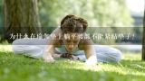 为什么在瑜伽垫上躺平腰部不能紧贴垫子？如何考取瑜伽教练证？