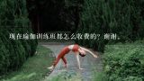 现在瑜伽训练班都怎么收费的？谢谢。,上海康城里的舞蹈班怎么样？能练习瑜伽吗？
