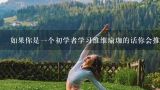 如果你是一个初学者学习维维瑜珈的话你会推荐一些适合初学者练习的动作吗？