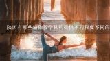 陕西有哪些瑜伽教学机构提供不同程度不同的年龄和性别等的需求吗?