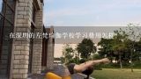 在深圳的左梵瑜伽学校学习费用怎样?