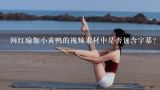 网红瑜伽小黄鸭的视频素材中是否包含字幕?