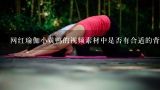 网红瑜伽小黄鸭的视频素材中是否有合适的背景音乐?