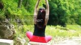 问什么是Hatha Yoga?