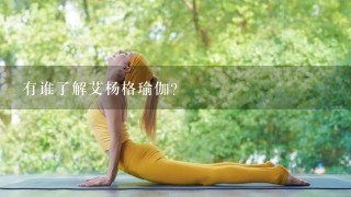 有谁了解艾杨格瑜伽？