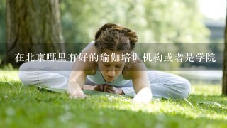 在北京哪里有好的瑜伽培训机构或者是学院