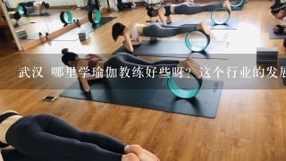 武汉 哪里学瑜伽教练好些呀？这个行业的发展前景如何呢？ 在武汉当瑜伽教练需要什么样的水平呢？O(∩_∩)O