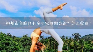 柳州市鱼峰区有多少家瑜伽会馆？怎么收费？