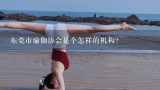 东莞市瑜伽协会是个怎样的机构？