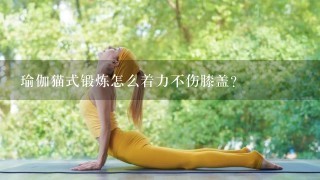 瑜伽猫式锻炼怎么着力不伤膝盖？