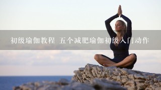 初级瑜伽教程 5个减肥瑜伽初级入门动作